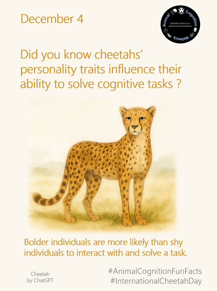 Animal Cognition Fun Facts