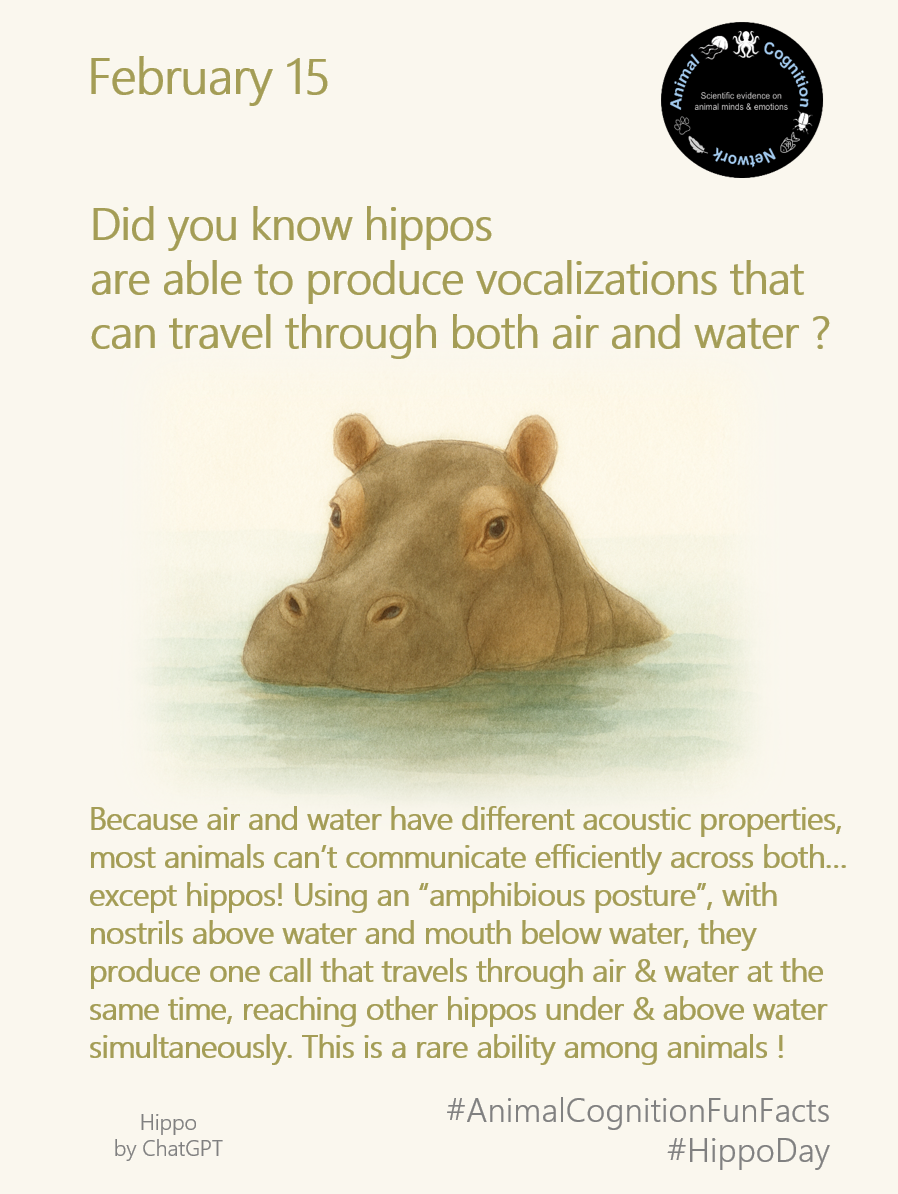 Animal Cognition Fun Facts