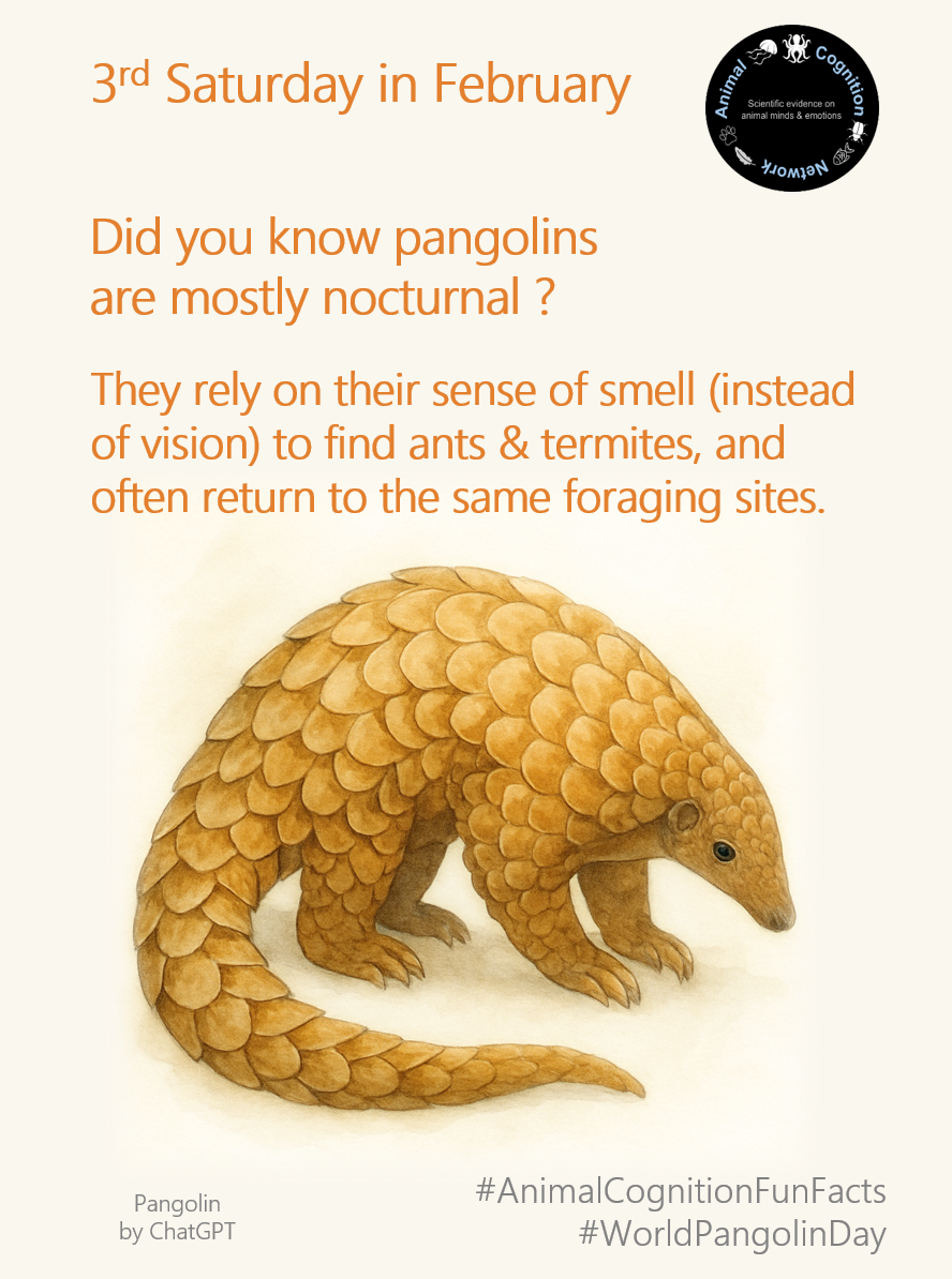 Animal Cognition Fun Facts