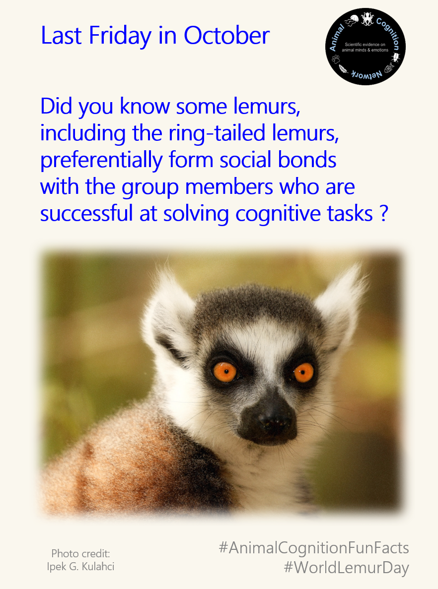 Animal Cognition Fun Facts